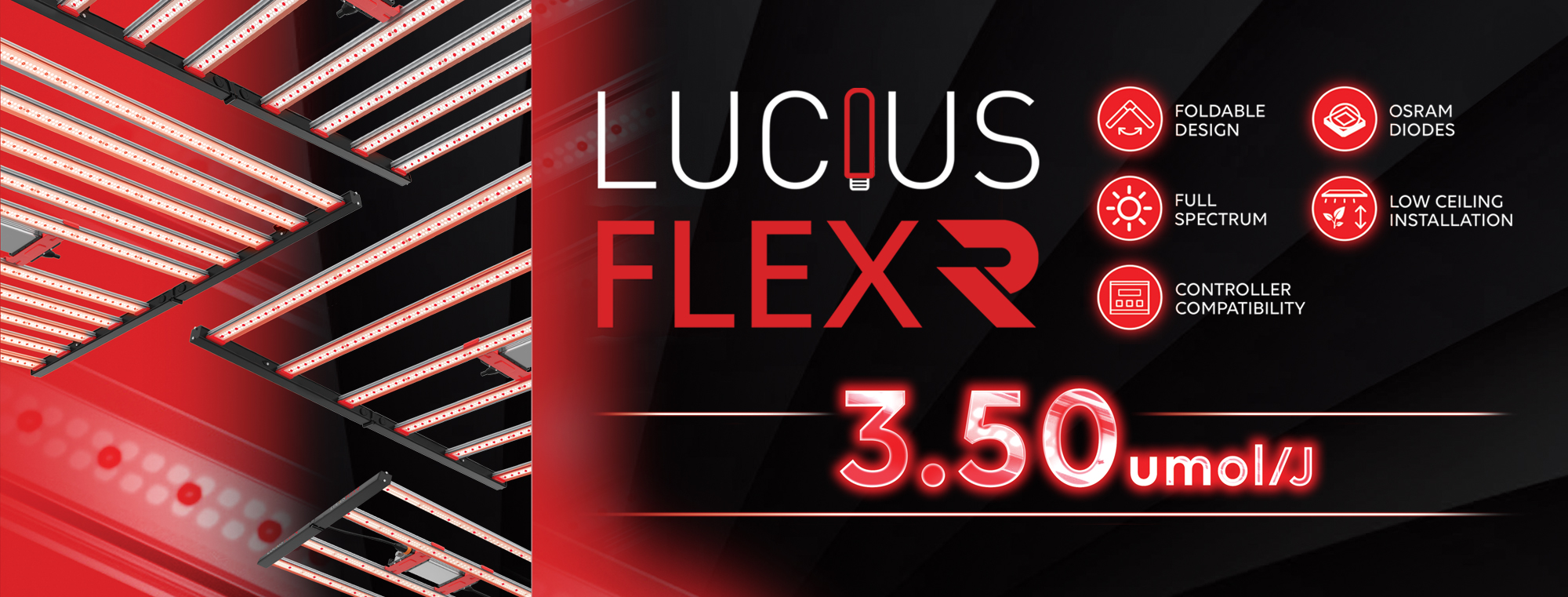 FLEX-R-Web-Banner.jpg